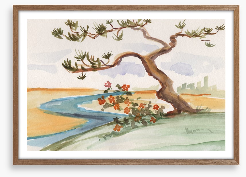 Pine by the stream