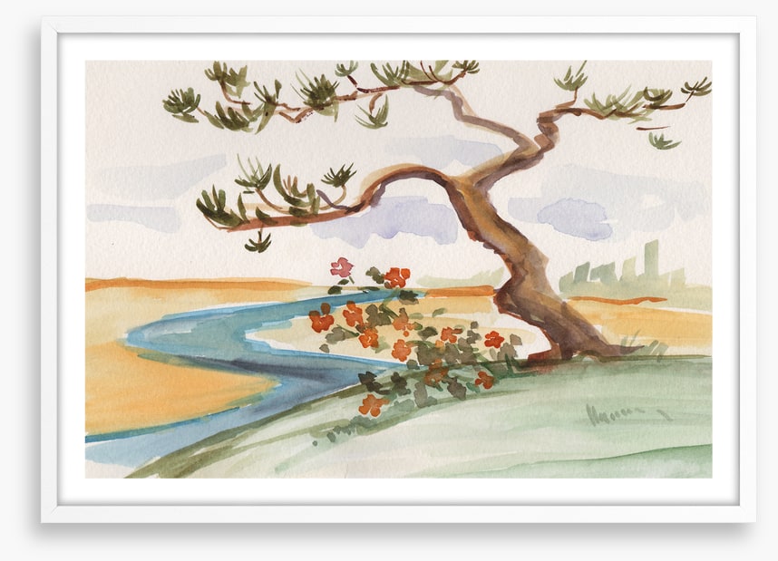 Pine by the stream