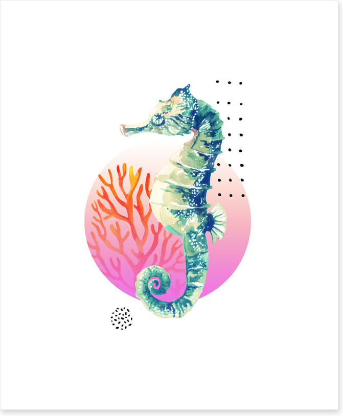 Setting sun seahorse