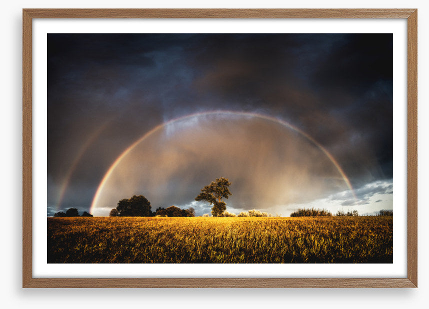 Rainbow in the storm