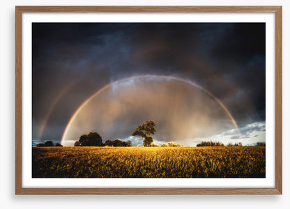 Rainbow in the storm