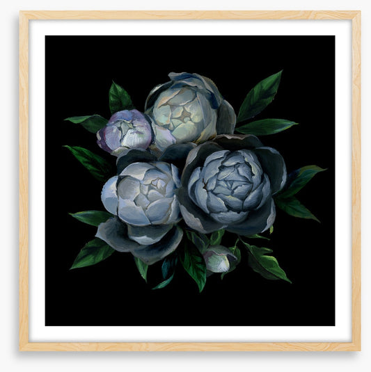 Bouquet of blue peonies