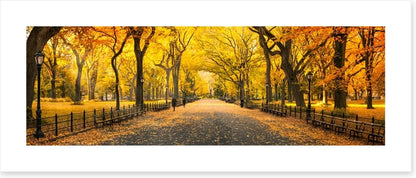 Central Park fall panorama