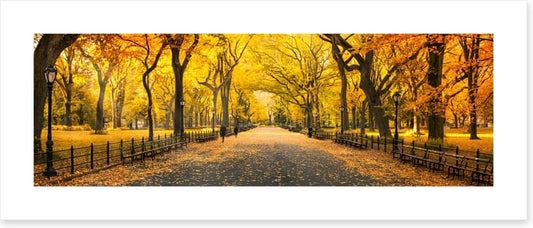 Central Park fall panorama