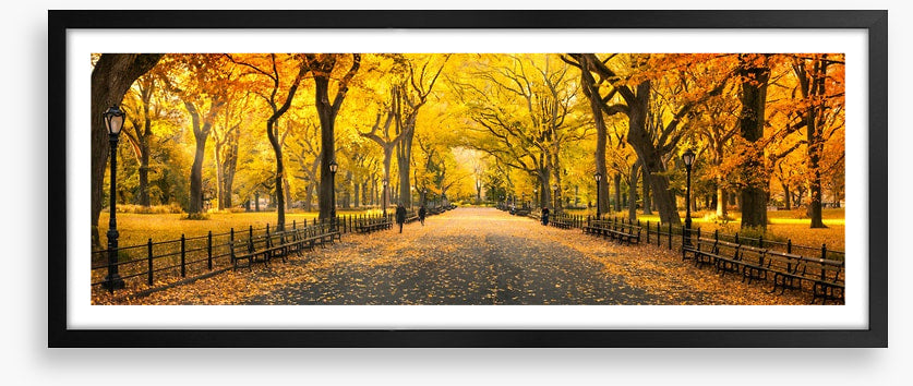 Central Park fall panorama