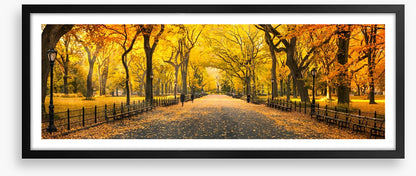 Central Park fall panorama