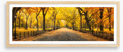 Central Park fall panorama