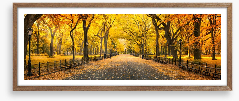Central Park fall panorama