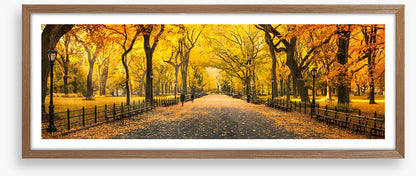 Central Park fall panorama