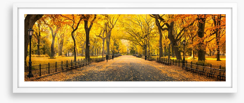 Central Park fall panorama