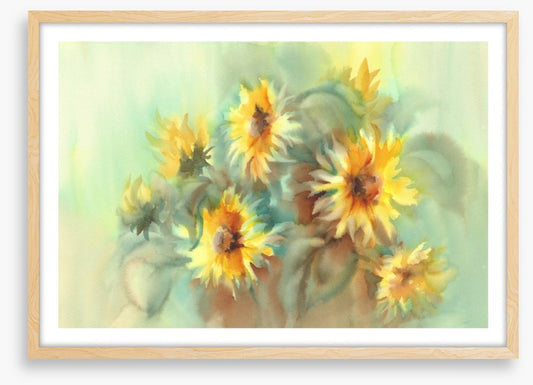 Summer sunflowers