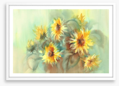 Summer sunflowers