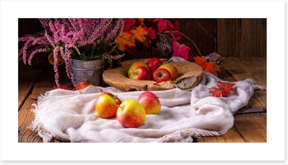 Still Life