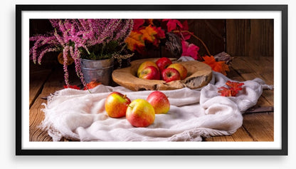 Still Life