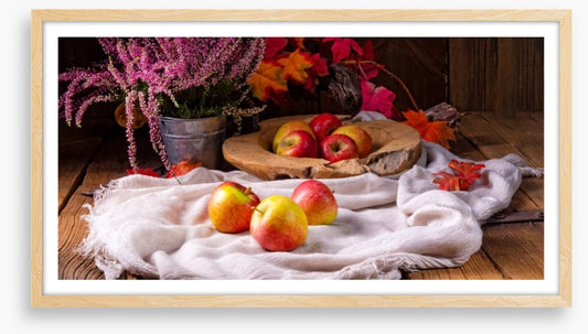Still Life