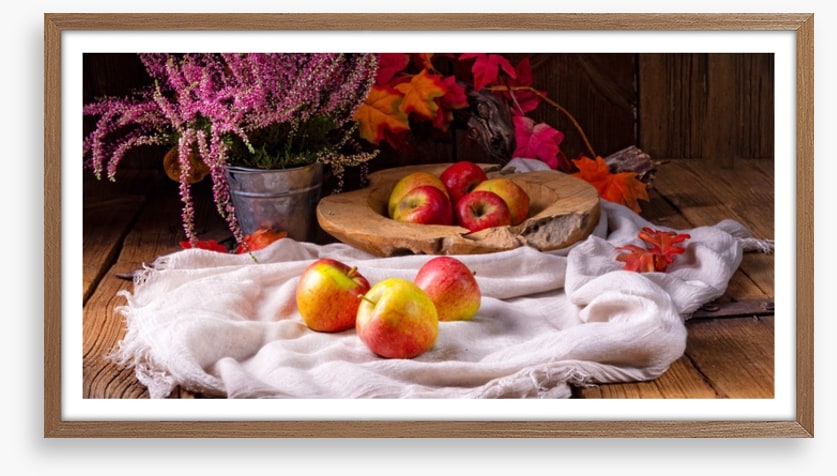 Still Life