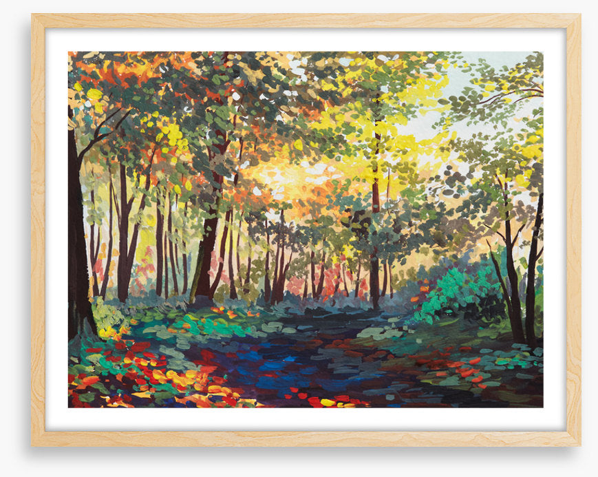 The changing forest