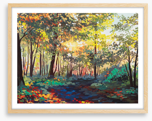 The changing forest