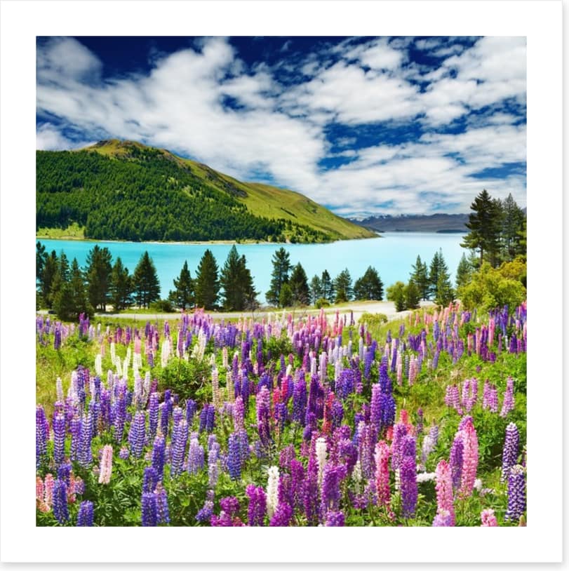 Lake Tekapo, New Zealand