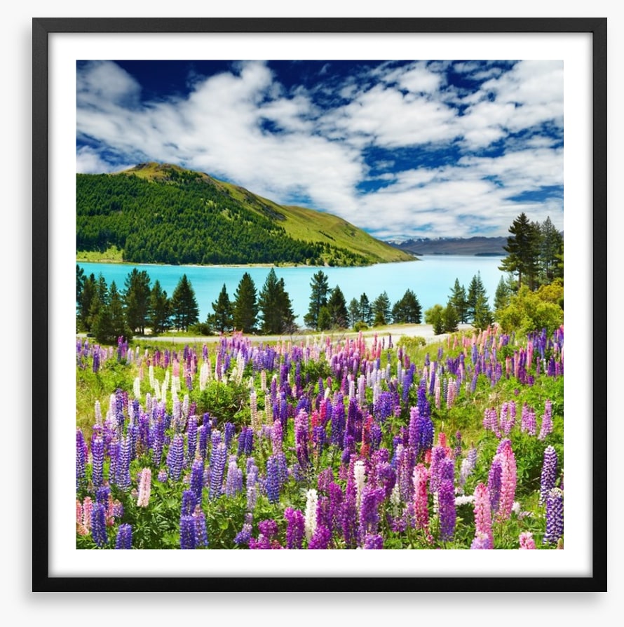 Lake Tekapo, New Zealand