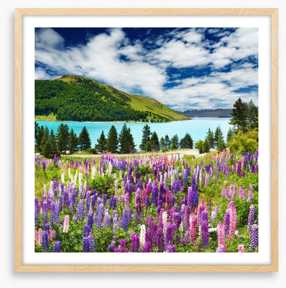 Lake Tekapo, New Zealand