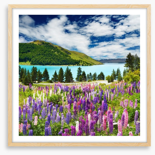 Lake Tekapo, New Zealand