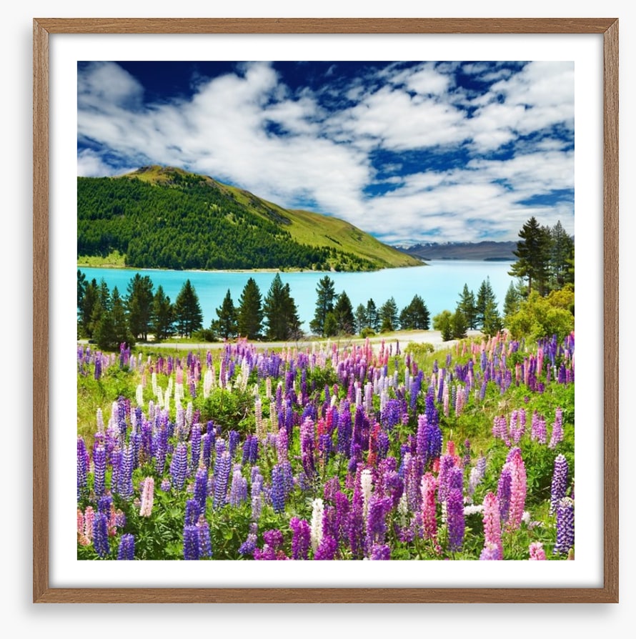Lake Tekapo, New Zealand