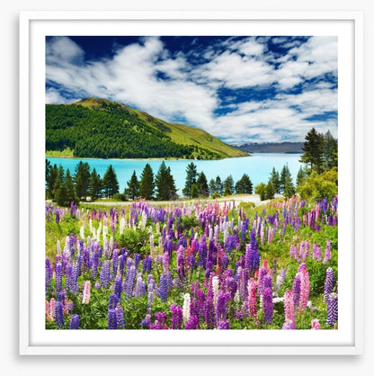 Lake Tekapo, New Zealand