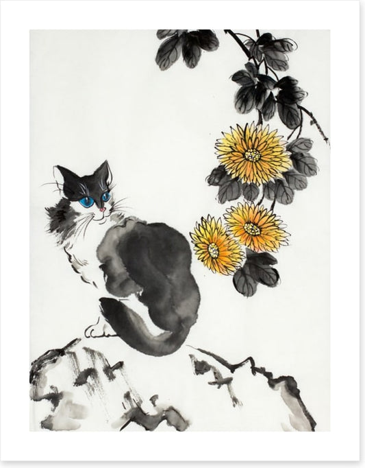 The chrysanthemum cat
