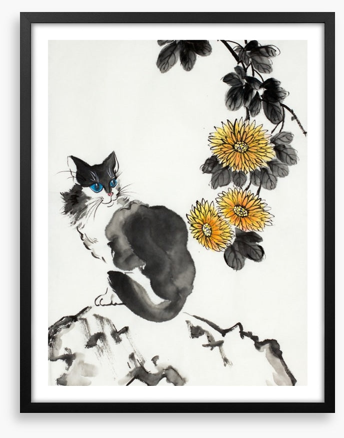 The chrysanthemum cat