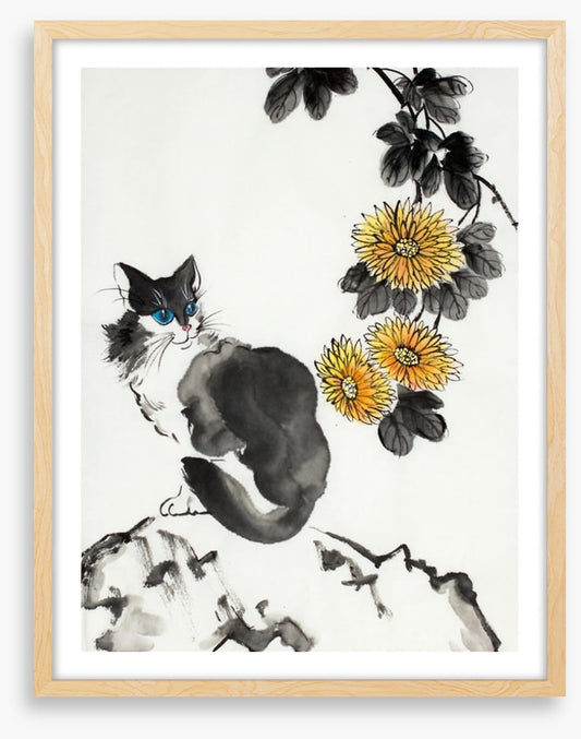The chrysanthemum cat
