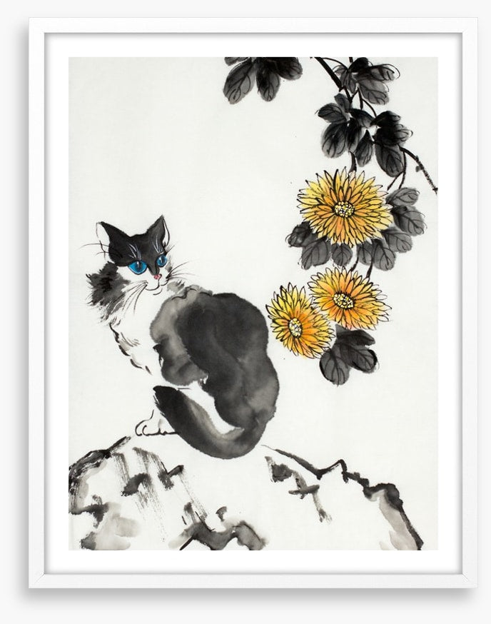 The chrysanthemum cat