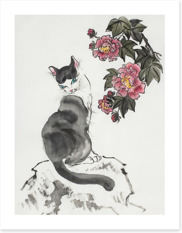 The hibiscus cat