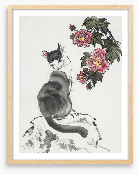The hibiscus cat