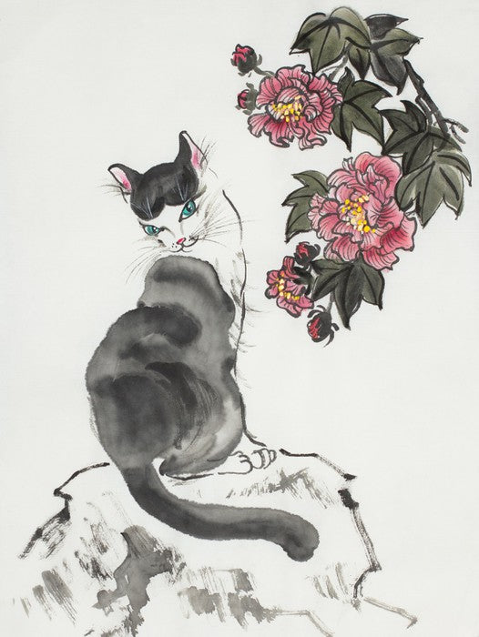 The hibiscus cat