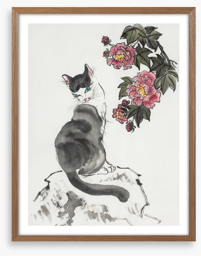 The hibiscus cat