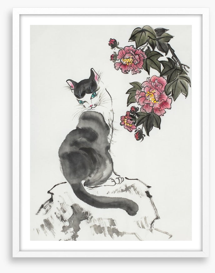 The hibiscus cat