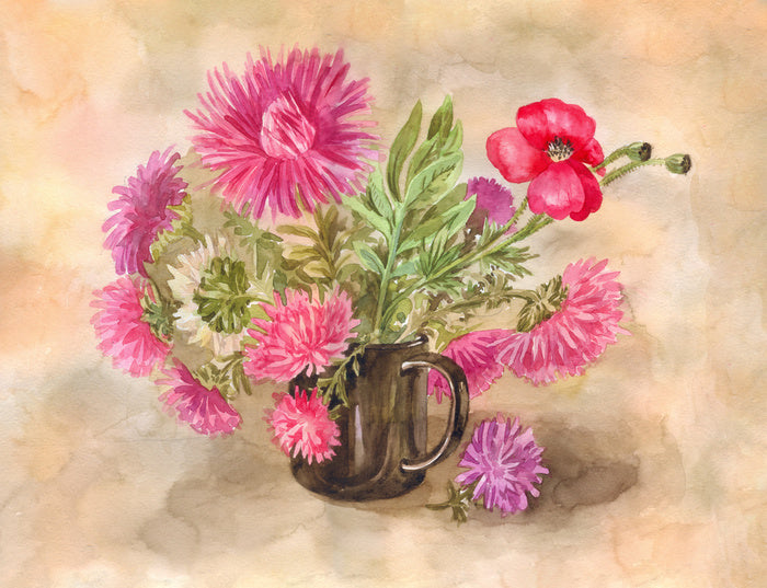 Black mug asters