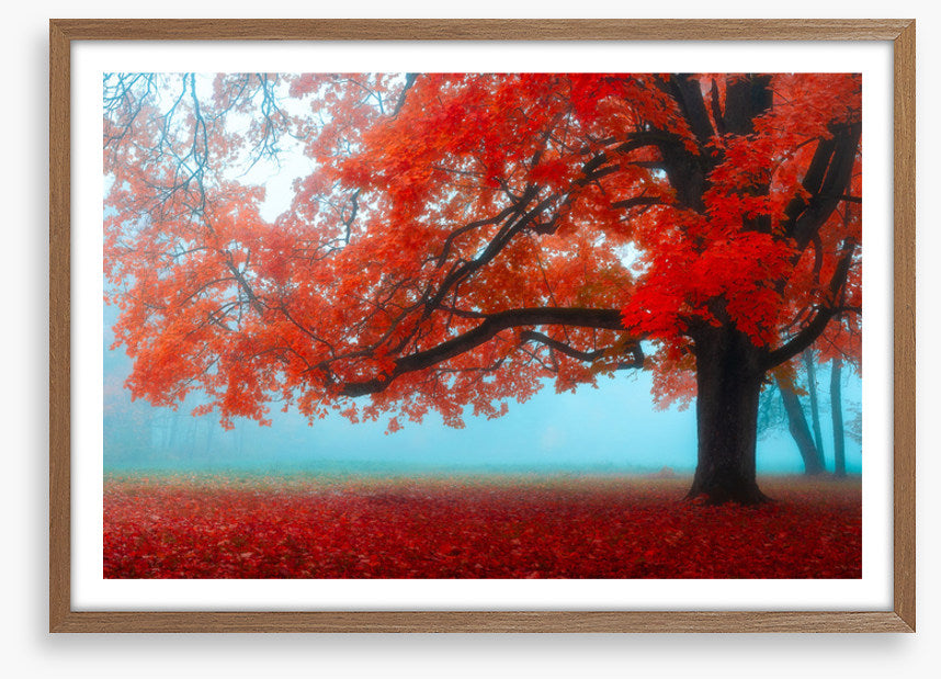 Maple tree mist