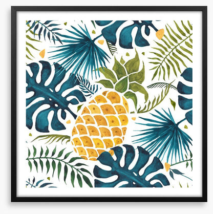 Pineapple palms