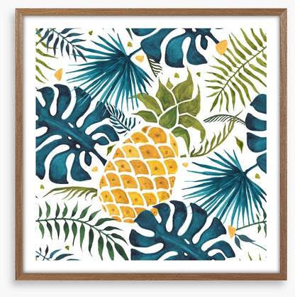Pineapple palms