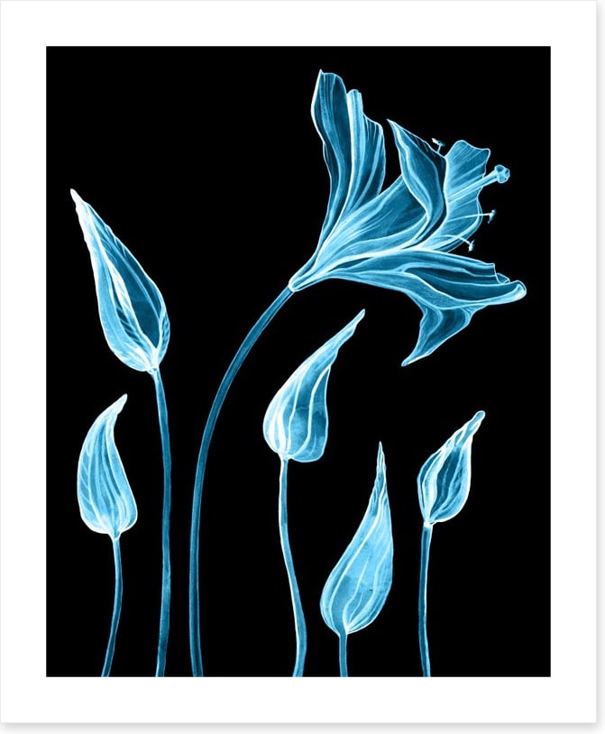Luminous lilies