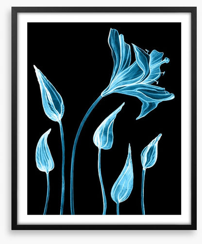 Luminous lilies