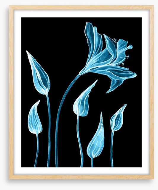 Luminous lilies