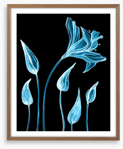 Luminous lilies