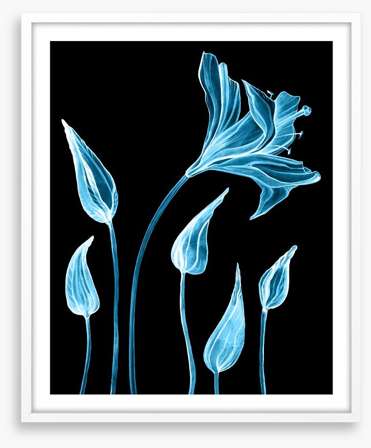 Luminous lilies