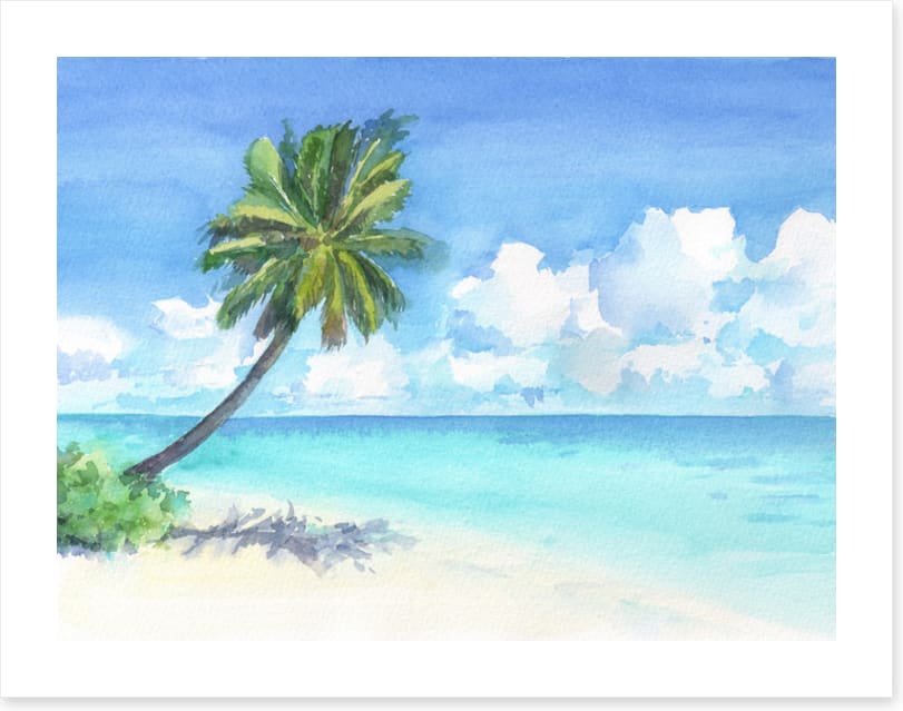 Palm in paradise