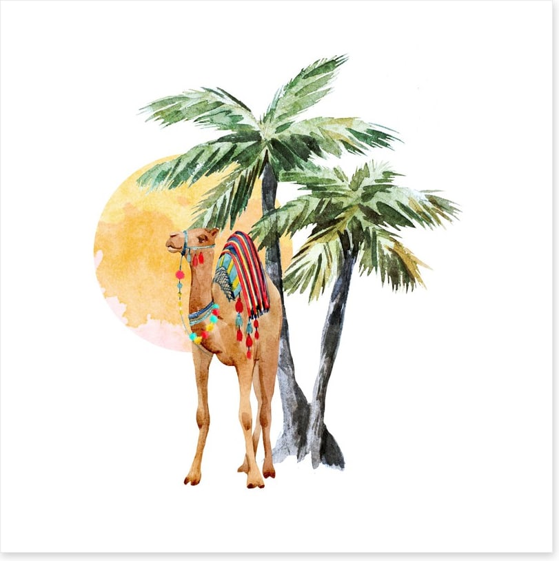 Hump day