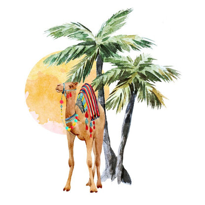 Hump day