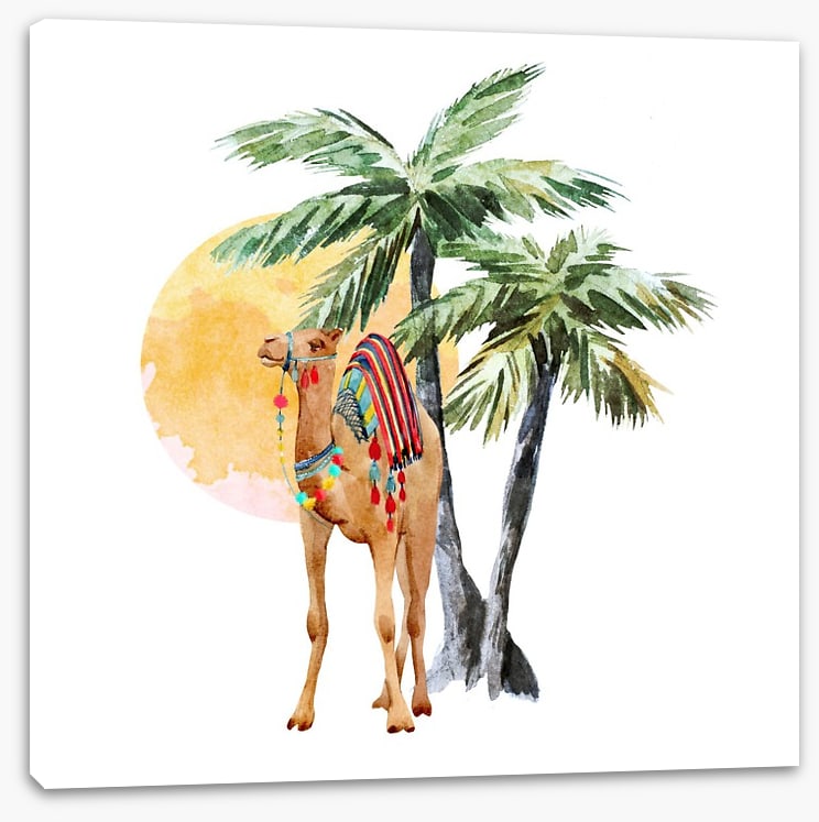 Hump day